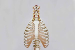 What causes flared ribs?
